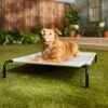 Frisco Steel-Framed Elevated Dog Bed -Frisco 112076 MAIN. AC SS1800 V1674156718