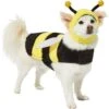 Frisco Bumble Bee Dog & Cat Costume -Frisco 215492 MAIN. AC SS1800 V1624542927