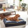 Frisco Faux Felt Zipper Pillow Cat & Dog Bed -Frisco 255158 MAIN. AC SS1800 V1616011383