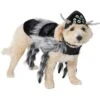 Frisco Spider Dog & Cat Costume -Frisco 335017 MAIN. AC SS1800 V1658718137